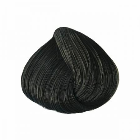 سفارش رنگ مو پرکلاغی باکیفیت