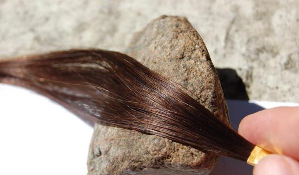 بررسی رنگ های محبوب رنگ مو