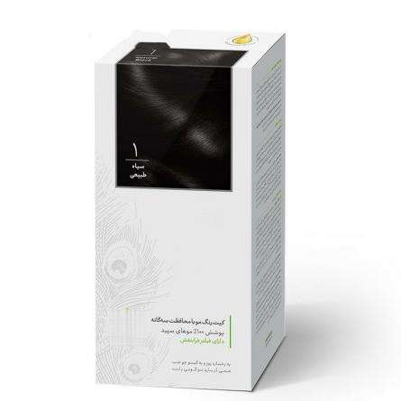 خرید انواع رنگ مو مردانه مشکی