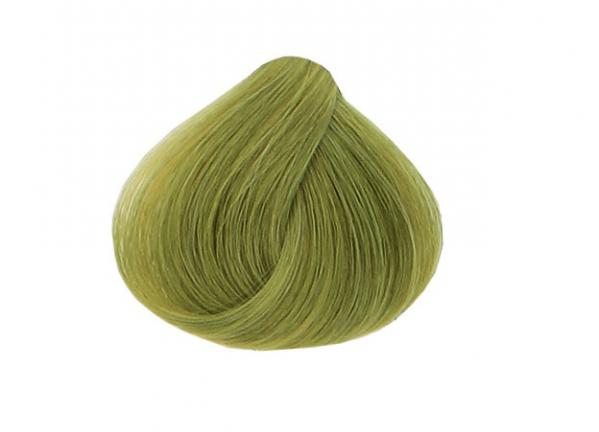 خرید آسان رنگ مو زیتونی روشن